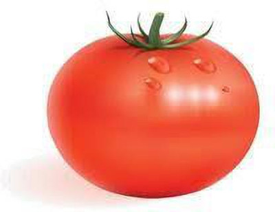 XOLDAA hybrid f1 quality tomato seeds Seed(40 per packet)