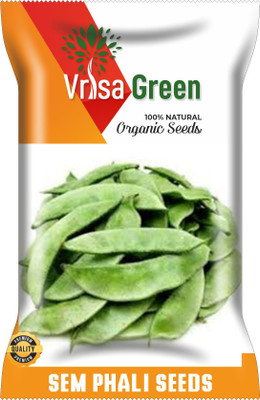 Vrisa Green SEM PHALI DOLICHOS Seed(50 per packet)