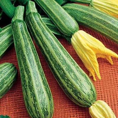 Qualtivate PUAS-5A Zucchini Gren Tiger Heirloom Seed(30 per packet)