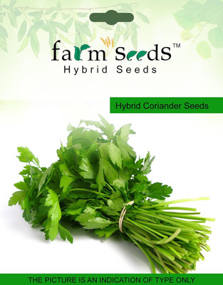 CRGO CORIANDER , HARA DHANIYA Seed(150 per packet)