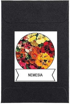 CYBEXIS Nemesia Flower Seeds-50 Seeds Seed(50 per packet)
