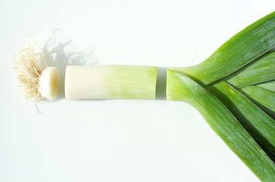 CYBEXIS Elephant Very mild Taste Leek Seeds Elephant -500 Seeds Seed(500 per packet)