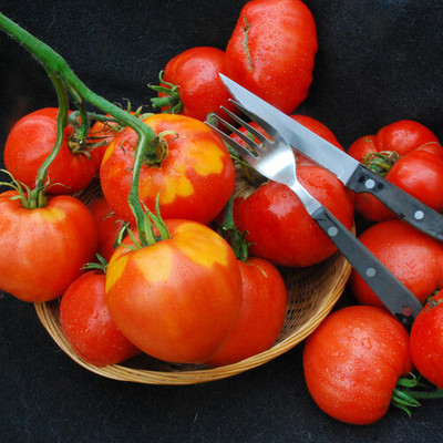 VRAKSHA TOMATO SUNSET'S RED Seed(500 per packet)
