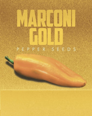KNESSiN Disease-Resistant Golden Marconi Pepper Seeds For Gardening-(2400 Seeds) Seed(2400 per packet)