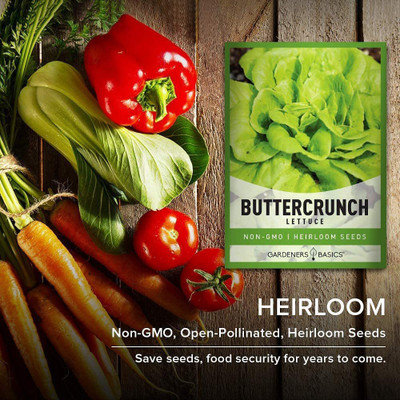 VibeX XLR-74 - Butterhead Boston Bibb Buttercrunch Lettuce - (1350 Seeds) Seed(1350 per packet)