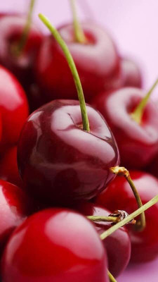 Aywal Maulsari Cherry Seeds For All Season Seed(2 per packet)