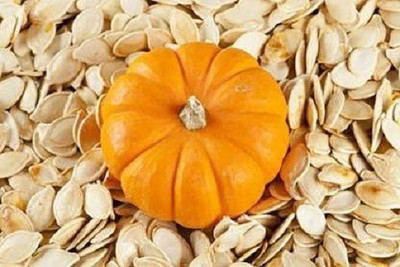 CYBEXIS ATS-50 - Pumpkin High Germination - (900 Seeds) Seed(900 per packet)