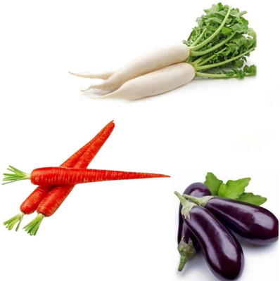 PSAgroinput Mooli(Radish)-Gajar(Carrot)-Begun(Brinjal) pack of 3 Seed(100 g)