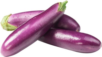 DHENU PRASAD 209 f1 hybrid long brinjal / baigan / eggplant Seed(209 per packet)