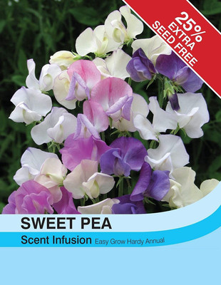 CYBEXIS Flower - Sweet Pea Scent Infusion Seed(1 g)