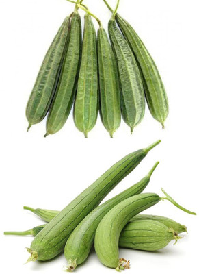 CYBEXIS XL-29 - Desi Spong Gourd and Ridge Gourd - (100 Seeds) Seed(100 per packet)