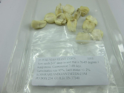WILLVINE SYN -VIII 1051-Corn Giant Peruvian-[500g] Seed(2000 per packet)