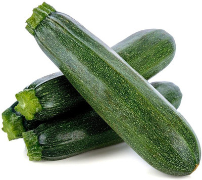 WILLVINE VXI-616 Squash Green F1 Hybrid Seeds Seed(100 per packet)