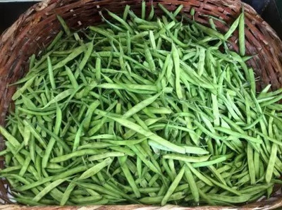 MAA Guar, Cluster Beans/Guar, gavar Seed(17 per packet)
