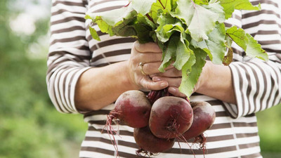 KNESSiN Beetroot Seed(200 per packet)
