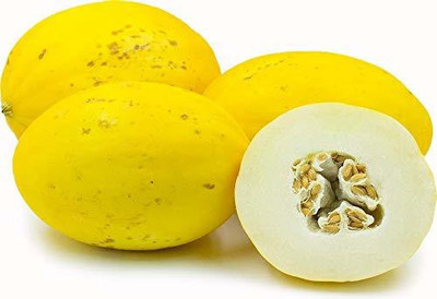 CYBEXIS HUA-99 - Yellow Golden Melon - (1350 Seeds) Seed(1350 per packet)