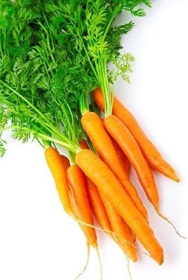 CRGO GAAJAR, CARROT Seed(225 per packet)