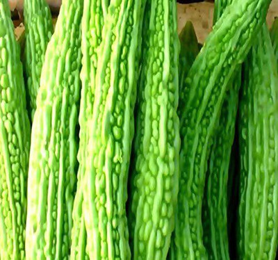 VibeX ® XLR-68 Bitter Gourd Melon - Mara Long Variety Seed(50 per packet)