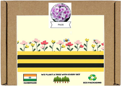 CYBEXIS Phlox Flower Seed(50 per packet)