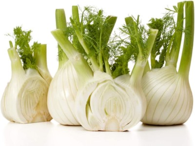 CYBEXIS NBIR-42 - Sweet Fennel - (2250 Seeds) Seed(2250 per packet)