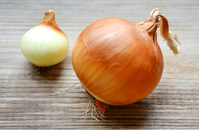 KNESSiN Heirloom Giant Chalcedony Onion Seeds For Planting-(1200 Seeds) Seed(1200 per packet)