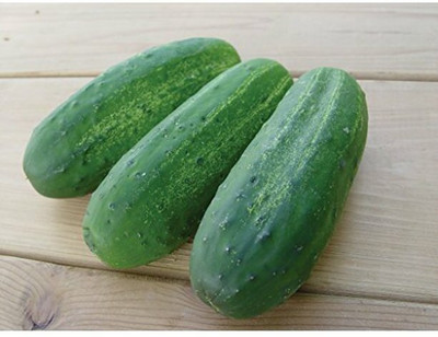 WHYGI Cucumber Stonewall F1 Seed-CuC_614 Seed(100 per packet)