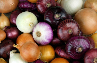 Qualtivate VXL-3AT Onion Vegetable Hybrid Seeds Seed(500 per packet)