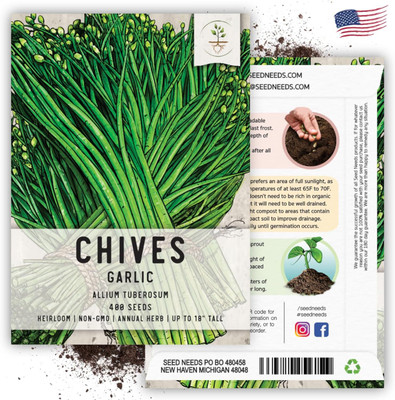 KNESSiN Heirloom Garlic Chives Vegetable Seeds for Garden-(300 Seeds) Seed(300 per packet)