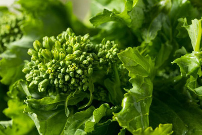 WILLVINE PUAS -VI Non GMO Spring Raab Broccoli Rapini Seeds [2.5g] Seed(750 per packet)