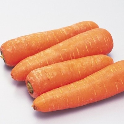 Quentova नारंगी गाजर Orange Carrot-22C-CIAR Seed(250 per packet)