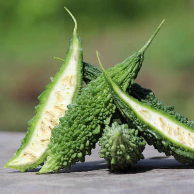 BDSresolve Desi Bitter gourd seeds PACK OF 20 Seed(20 per packet)