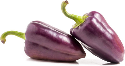KNESSiN Purple Sweet Pepper Seed(1250 per packet)