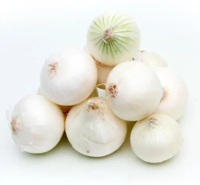 Mozette Organic Onion white Seed(26 per packet)