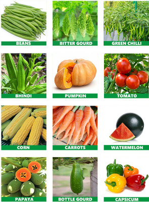 the green dotcom Summer Season Vegetable Combo Pack Seed(800 per packet)