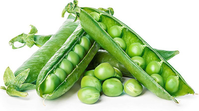 WILLVINE LXI-342 Green Arrow Pea Seeds Seed(50 per packet)