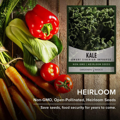 WILLVINE SYN -VI Dwarf Siberian Improved Kale [5g] Seed(1500 per packet)