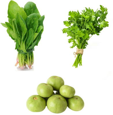 Garden Basket Palakbhaji (spinach)- Daniya(coriander )-Tinde(round melon)pack of 3 Seed(100 g)