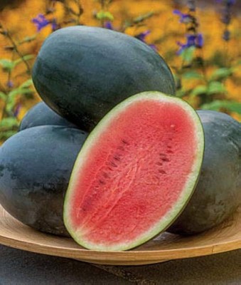 BJUBAS black watermelon seeds for planting pack of 59 Seed(59 per packet)