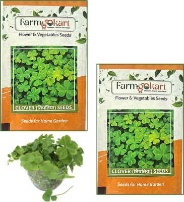 farmgokart |2 PACKETS OF CLOVER SEEDS|Quality Herbs Seeds Pouch|Home Gardening Seed(5 g)