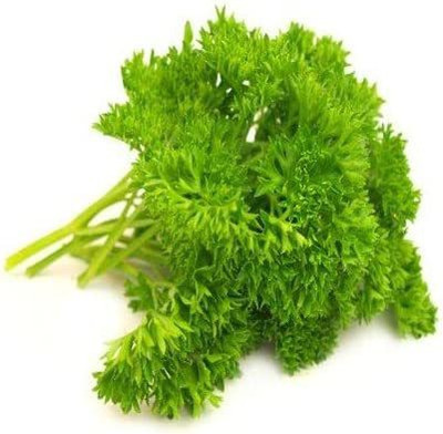 CYBEXIS LXI-90 - Triple Curled Parsley - (750 Seeds) Seed(750 per packet)