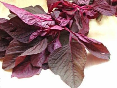 KANAYA Amaranthus Leaf Cholai Red Saag Seed(70 per packet)