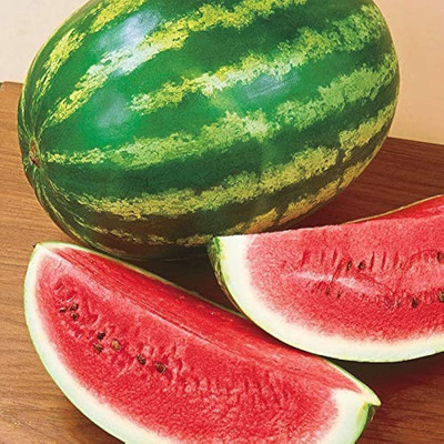 Pbevergreen Watermelon seeds for farming PACK OF 42 Seed(42 per packet)