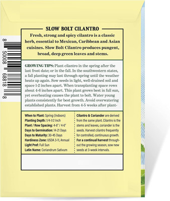 CYBEXIS TLX-7 - Cilantro (Slow Bolt) - (750 Seeds) Seed(750 per packet)