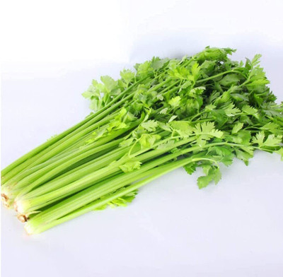 CYBEXIS Celery Strong Flavor Fresh Outdoor Garden Seeds2800 Seeds Seed(2800 per packet)