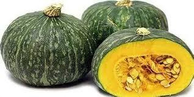Dbbrothers pumpkin seeds f1 hybrid all seasons combo pack of 16 Seed(16 per packet)