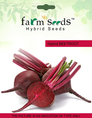 CYBEXIS SEEDS Hybrid Beetroot2000 Seeds Seed(2000 per packet)