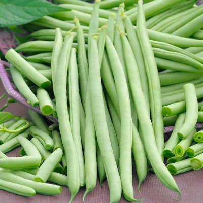 the green dotcom French Bean Cobra Seed(88 per packet)