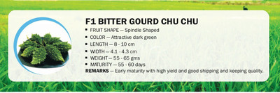 CYBEXIS F1 BITTER GOURD CHU CHU(250 Seeds) Seed(250 per packet)