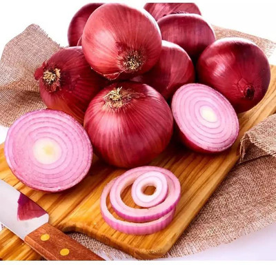 WILLVINE LX-1118 Onion Red Vegetable Seeds Seed(1000 per packet)