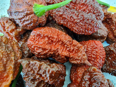 Biosnyg Heirloom Big Black Mama Chilli Seeds For Kitchen Gardening-(2000 Seeds) Seed(2000 per packet)